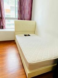 Nova 48 (D12), Apartment #589280781